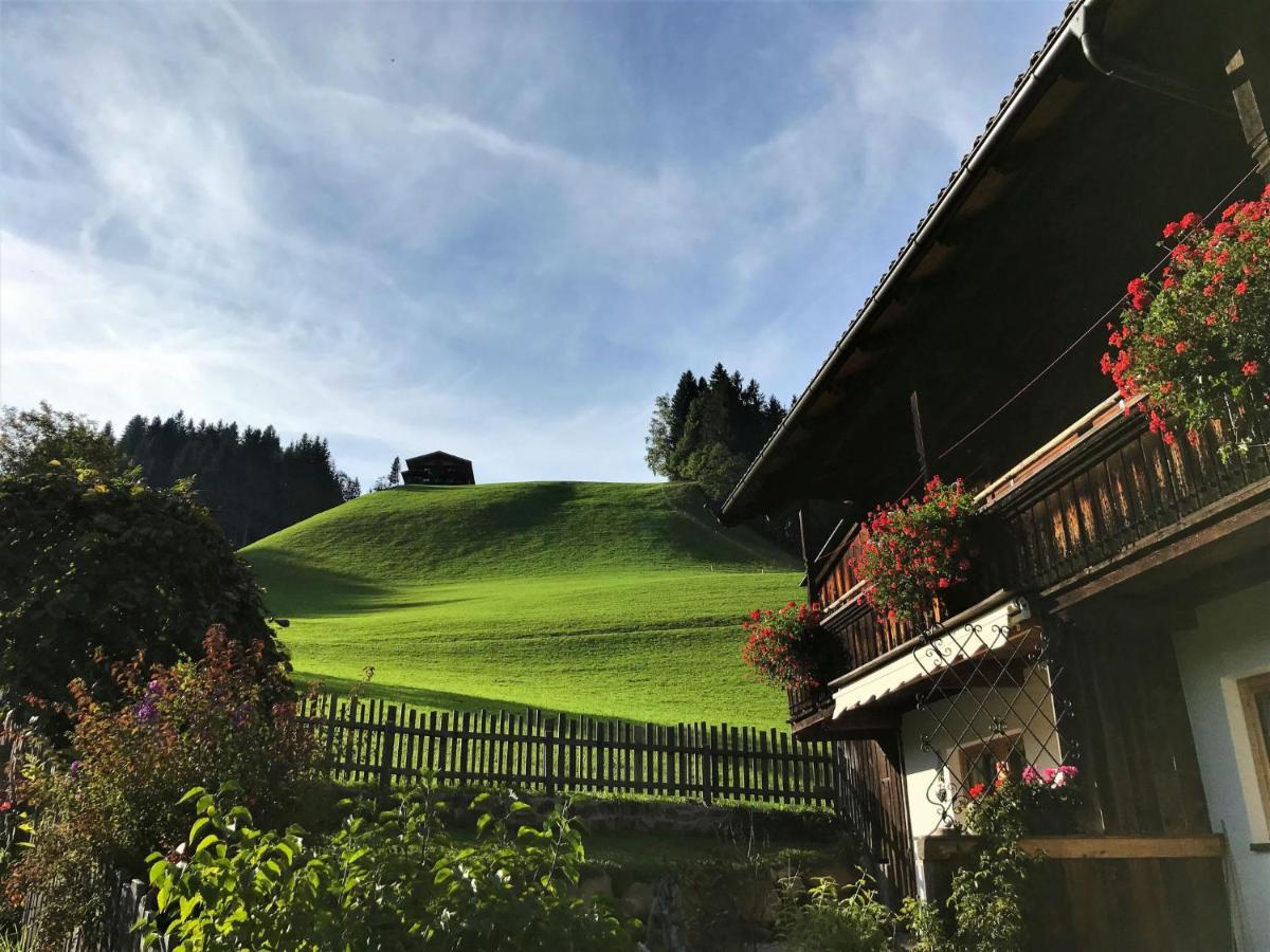 Apartment Chalet Edelweiss - Wil001 By Interhome Auffach Eksteriør bilde